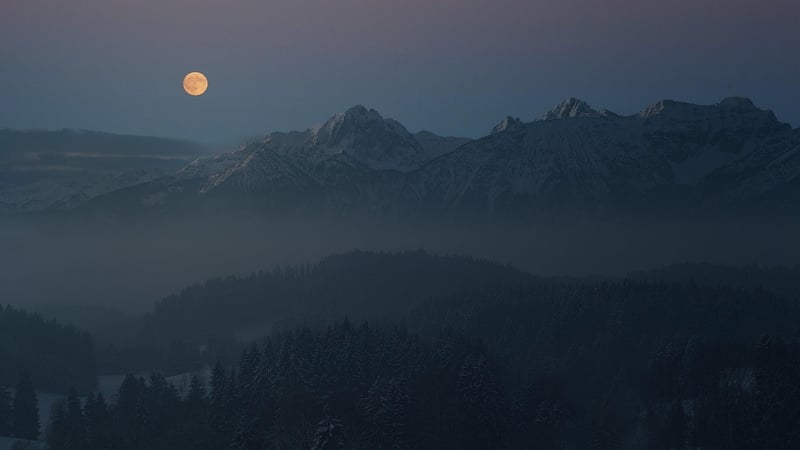 Moon Phase Wall Art